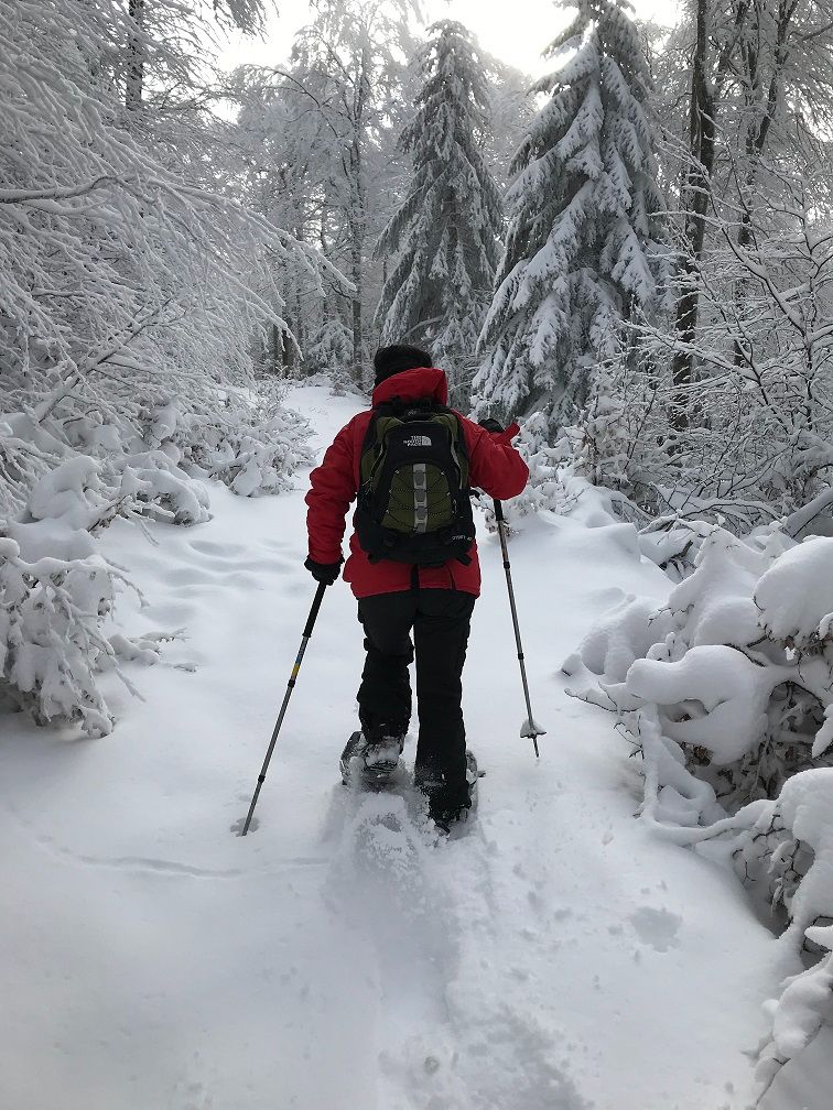 Raquettes à neige, Vall d'Incles